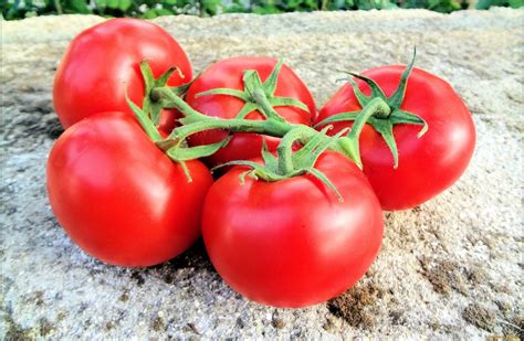 Обрезка помидоров в теплице чтобы был хороший урожай